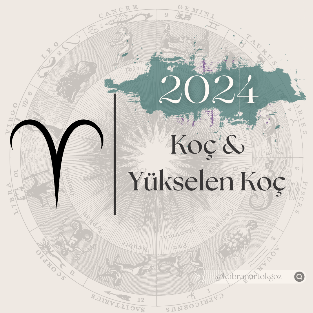 2024 yılında Koç ve Yükselen Koç